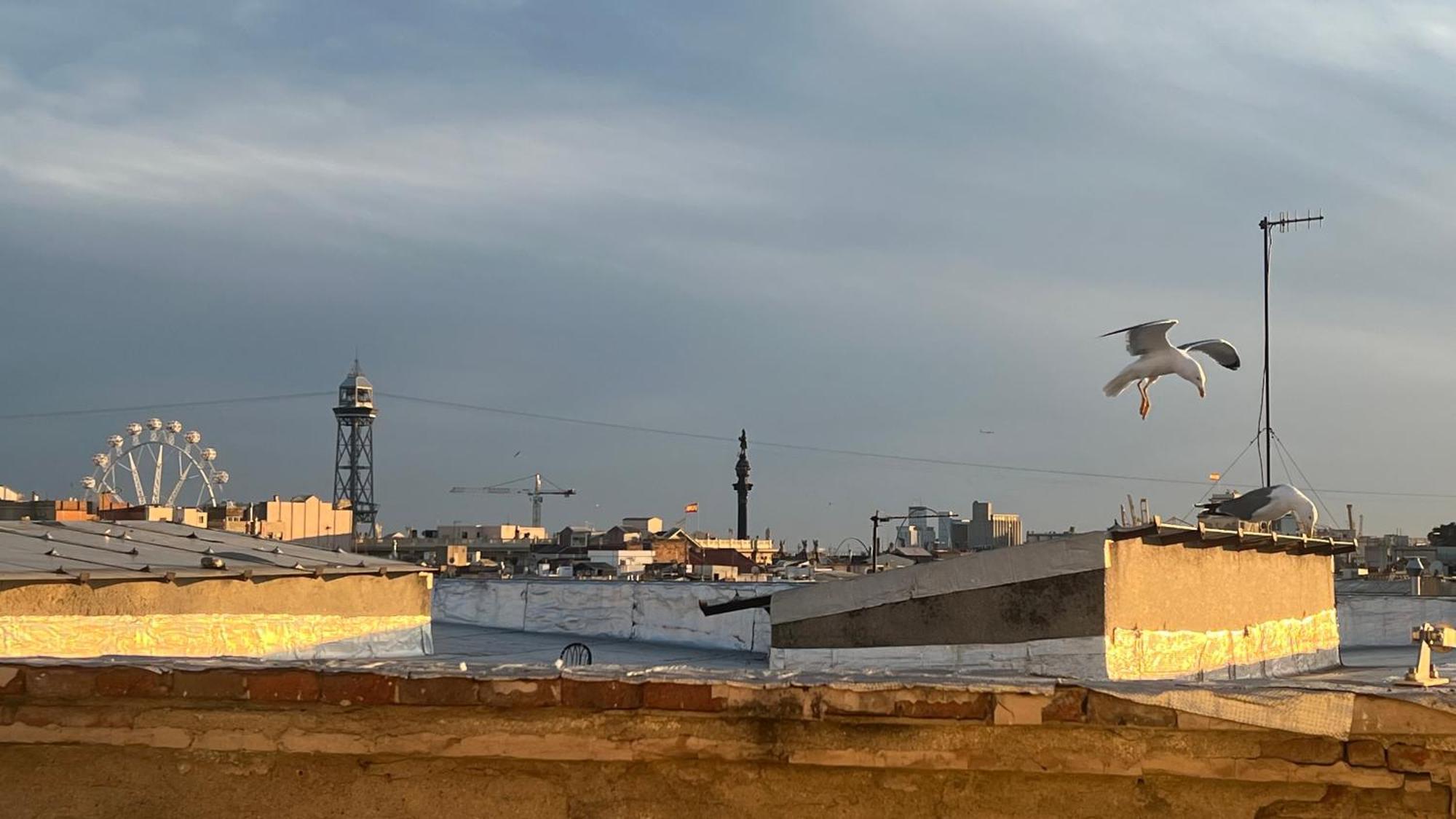 Atico Con Terraza *