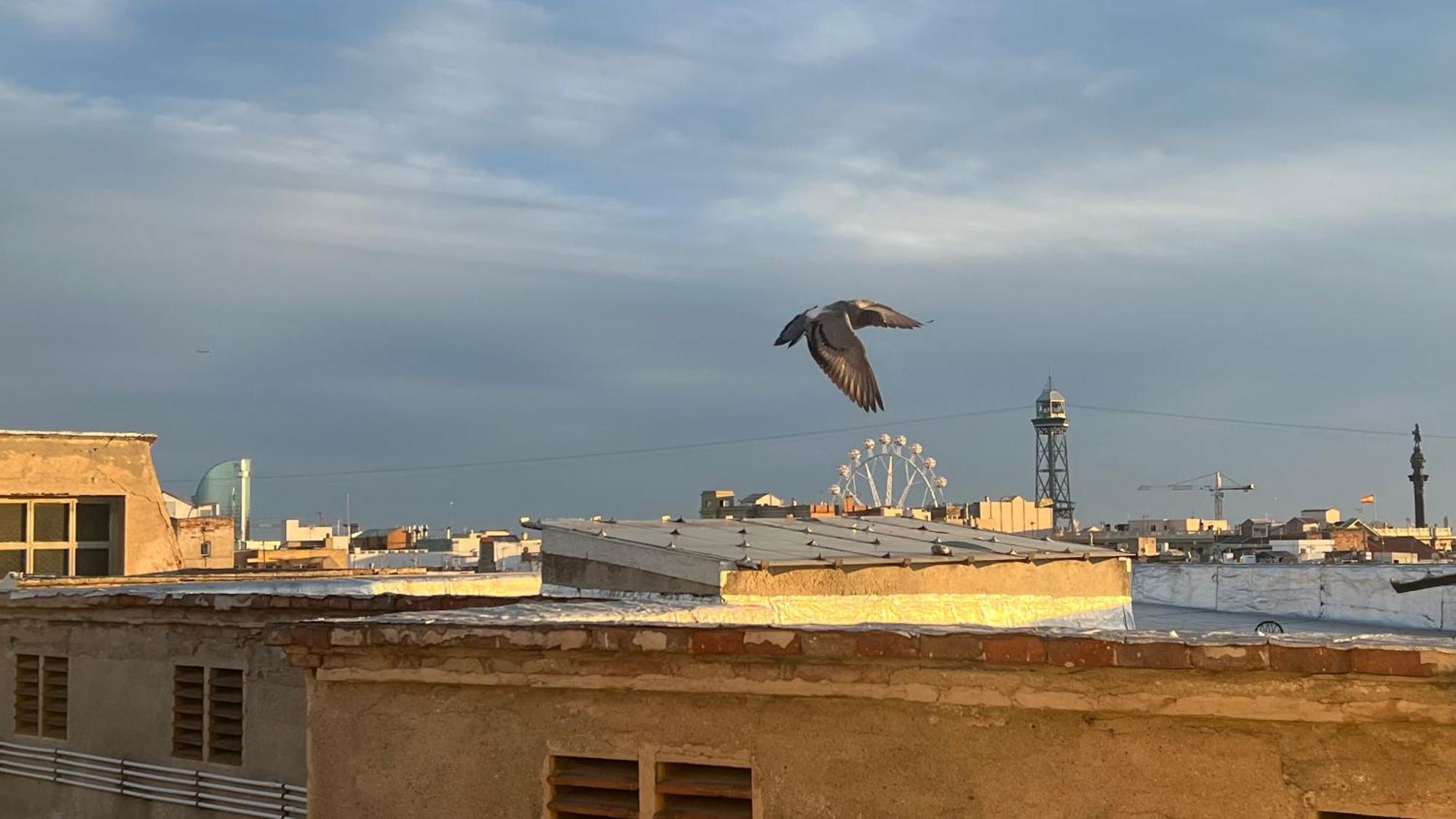 Atico Con Terraza Leilighet